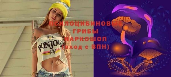 2c-b Медногорск