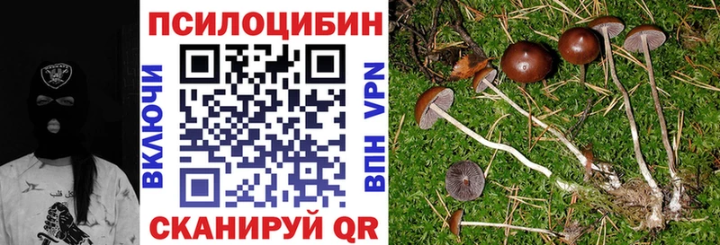 Галлюциногенные грибы Psilocybe  Купить где  Давлеканово 